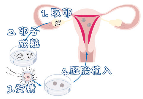 心理科